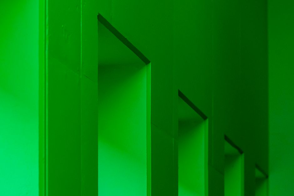 Mur vert luxuriant animant une galerie intérieure. Mur vert luxuriant animant une galerie intérieure.