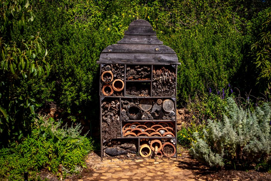 Construction d'un abri à insectes dans le jardin.