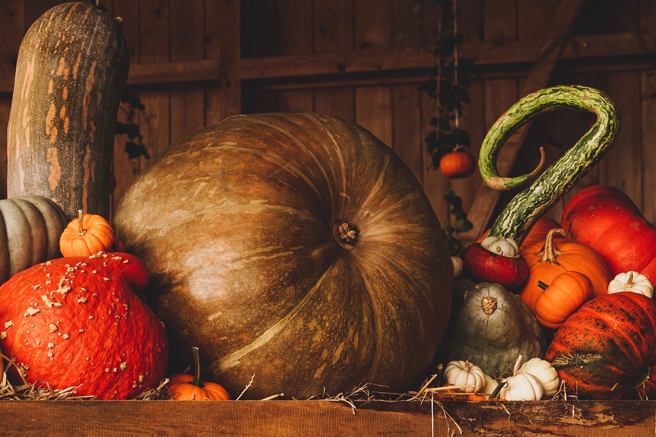 Citrouilles sculptées alignées sur une étagère rustique. Citrouilles sculptées alignées sur une étagère rustique.
