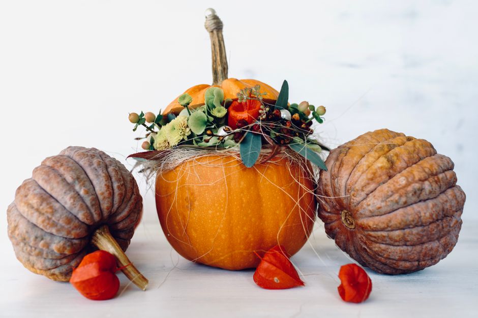Cadre de fenêtre décoré de petites citrouilles. Cadre de fenêtre décoré de petites citrouilles.